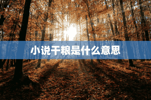 小说干粮是什么意思(干粮 知乎)